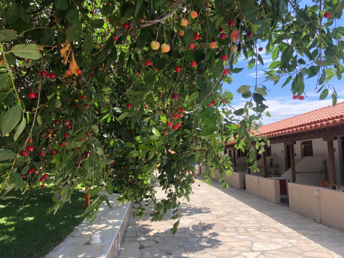 Gregory'S Village Plati  Zewnętrze zdjęcie